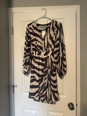 H&M Black & White Zebra-Print V-Neck Long-Sleeve Dress